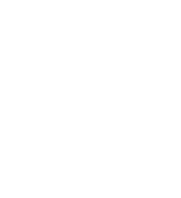 YANKI. Logosu